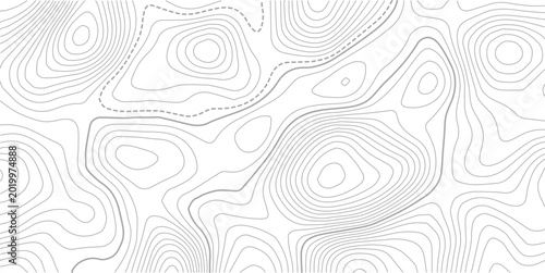 Topographic map and landscape terrain texture grid. Abstract white topography vector background.Topo contour map. Rendering abstract illustration.