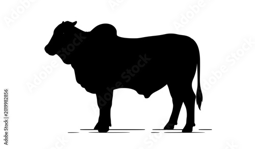 Foto Brahman beef cattle standing flat vector illustration isolated ranch livestock d