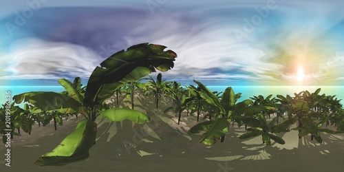 Tropical island with a palm tree at sunset. HDRI, environment map , Round panorama, spherical panorama, equidistant projection, panorama 360, seascape, 3d rendering.