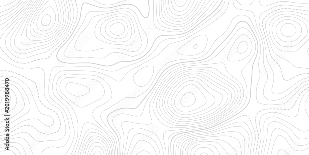 Fototapeta premium Topographic map and landscape terrain texture grid. Abstract white topography vector background.Topo contour map. Rendering abstract illustration.