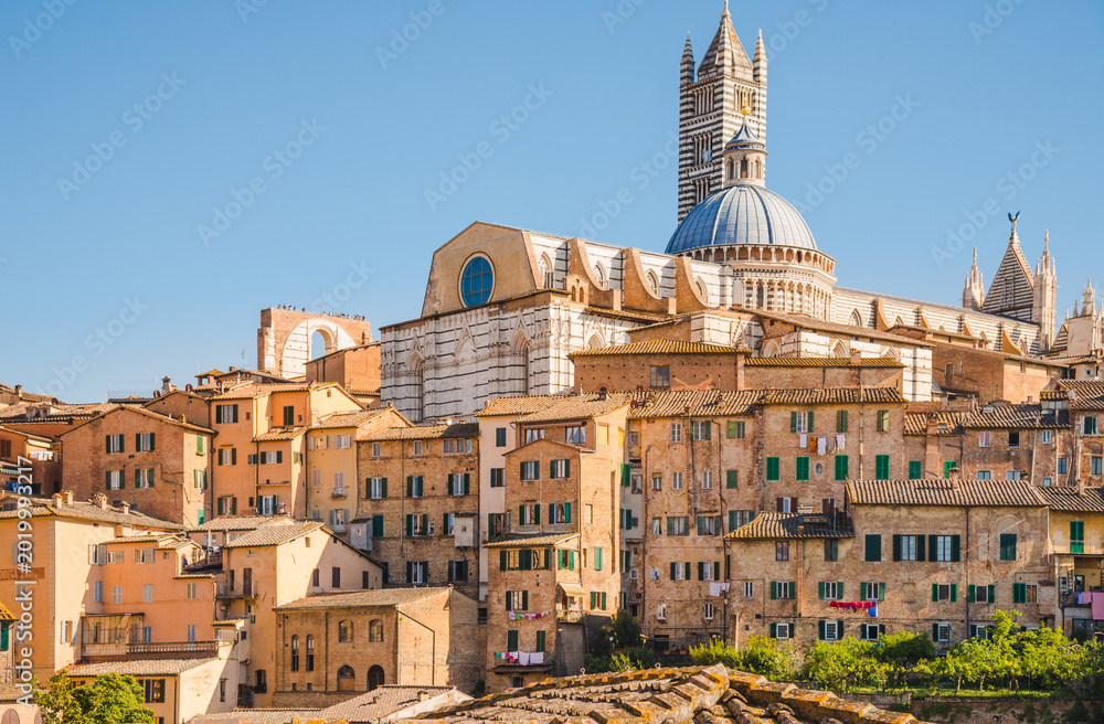 Fototapeta premium Siena, medieval town in Tuscany view of the Dome and Bell Tower of Siena Cathedral, Basilica of San Domenico, Italy
