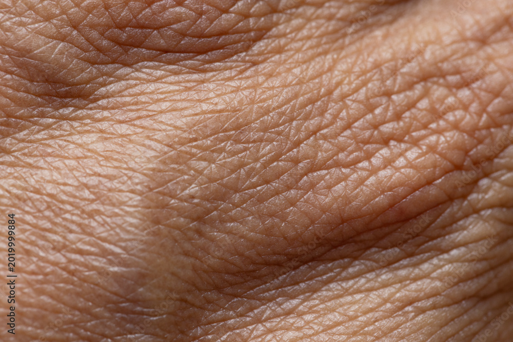 Naklejka premium Extreme close-up macro of human skin texture showing aging lines and wrinkles,Macro,A detailed macro shot of human skin, highlighting the natural texture, pores, and intricate patterns of wrinkles,