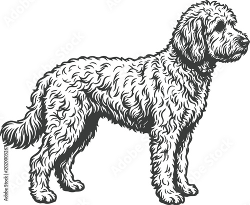 Fluffy Dog Illustration in Vintage Style