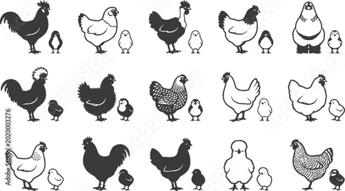 Illustration of Various Chickens and Chicks