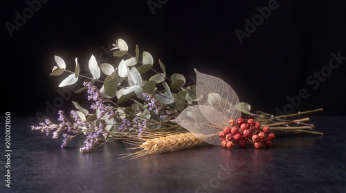 Obraz na plátně An elegant still life photograph of various dried botanical elements arranged on a dark surface with black background