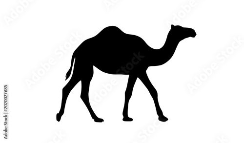 Canvas Print Minimal black camel silhouette hand drawn vector illustration isolated animal ic