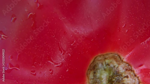Slow Rotation of Red Tomato Pulp Macro Texture.