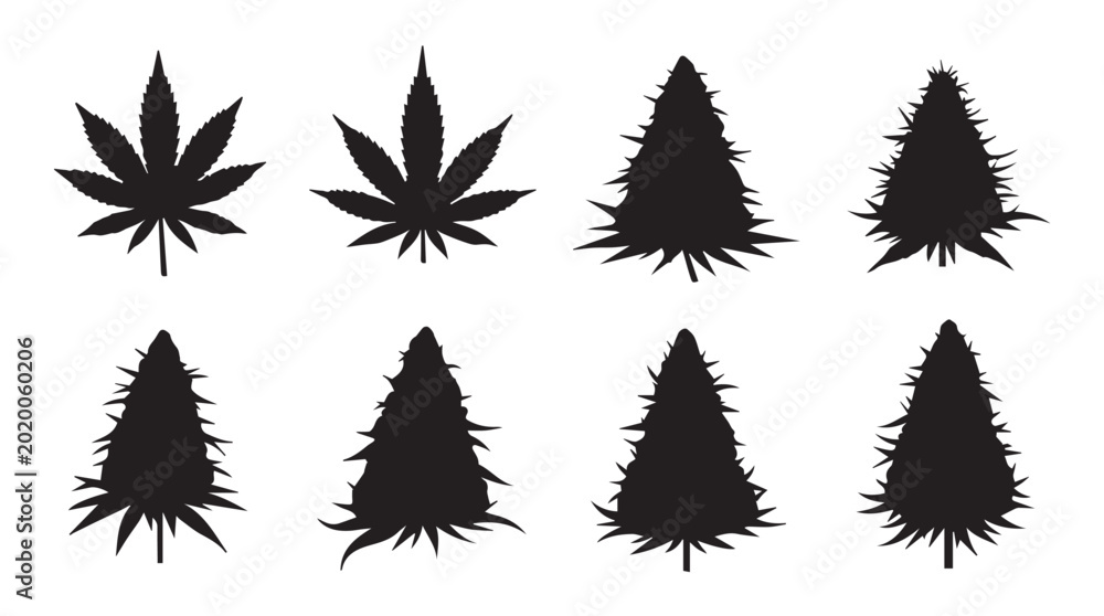 Obraz premium Cannabis leaf and bud silhouettes against white background representing growth and nature concepts