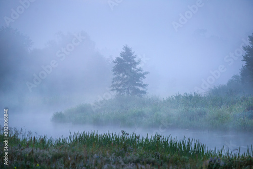 Naliboki Forest natural reserve, Belarus