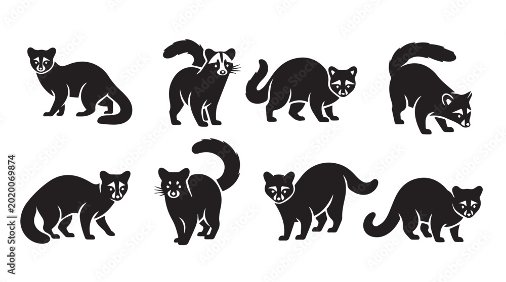 Obraz premium Various civet cat poses in black silhouette against a white background for graphic design