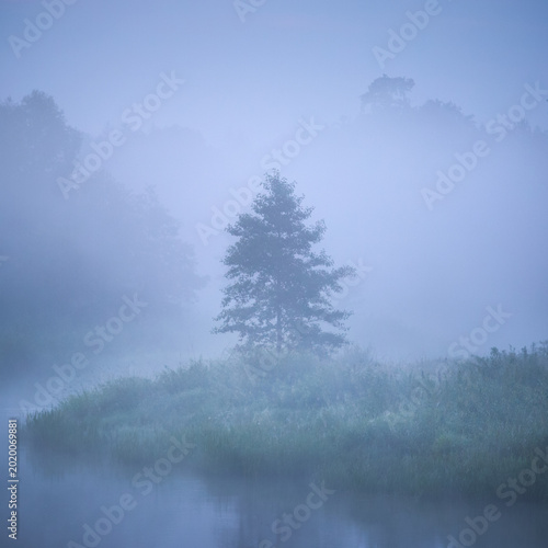 Naliboki Forest natural reserve, Belarus
