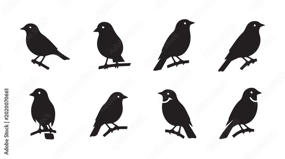 Fototapeta premium Various small birds perched on branches against a white background in a clean silhouette style