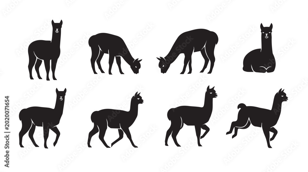 Fototapeta premium Alpaca silhouettes in various poses against a white background with clean lines for design