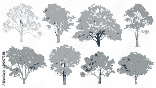 Photos Collection of grayscale tree silhouettes arranged against a white background