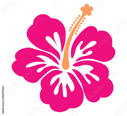 Minimalist Floral Vector Illustrations