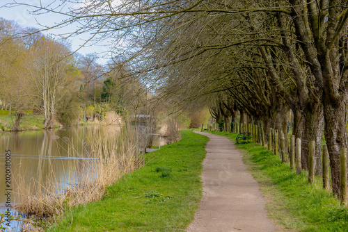 Spring countryside landscape, Natural path beside the Kromme Rijn river, Tranquil riverside walkway trail with lush green grass and orchard along the water, The Dutch province of Utrecht, Netherlands.