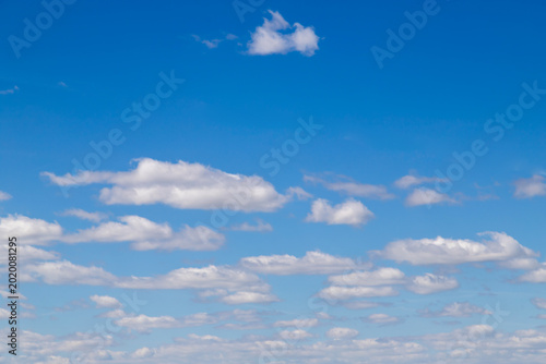 A wide expanse of clear blue sky dotted with soft white cumulus clouds, conve...