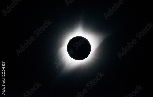 Bild auf Leinwand Total Solar Eclipse Showing Corona and Red Solar Prominences During Totality