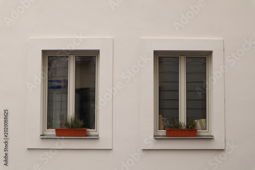 Foto Two Symmetrical Windows with Flower Boxes