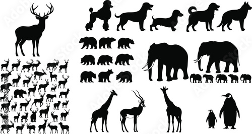 Photography Wildlife and Domestic Animal Silhouette Collection with Deer Elephant Dog Pengui