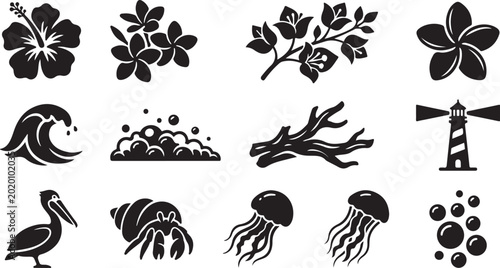 Fényképezés Set of black and white tropical featuring hibiscus, plumeria, bougainvillea, oce