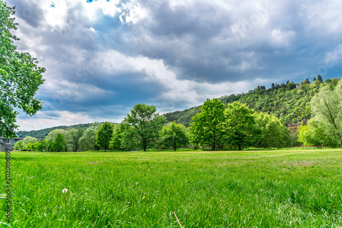 landscape with green trees and blue sky