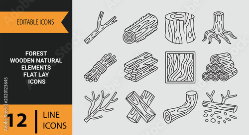 Vászonkép Forest Wooden Rustic Elements and Natural Flat Lay Outline Icons