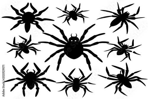 Bild auf Leinwand spider isolated on a white background, spider black icon, spider black symbol