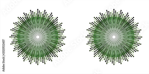 Fotografía Illustration of Chlamydomonas green algae showing cellular structure with chloroplast, flagella, and transparent membrane details