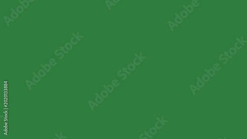 A green screen with white background and dots on it bee drop of water cat animated chromakey background colorful frame movement motion figure cartoonish composition elements scene emotion
