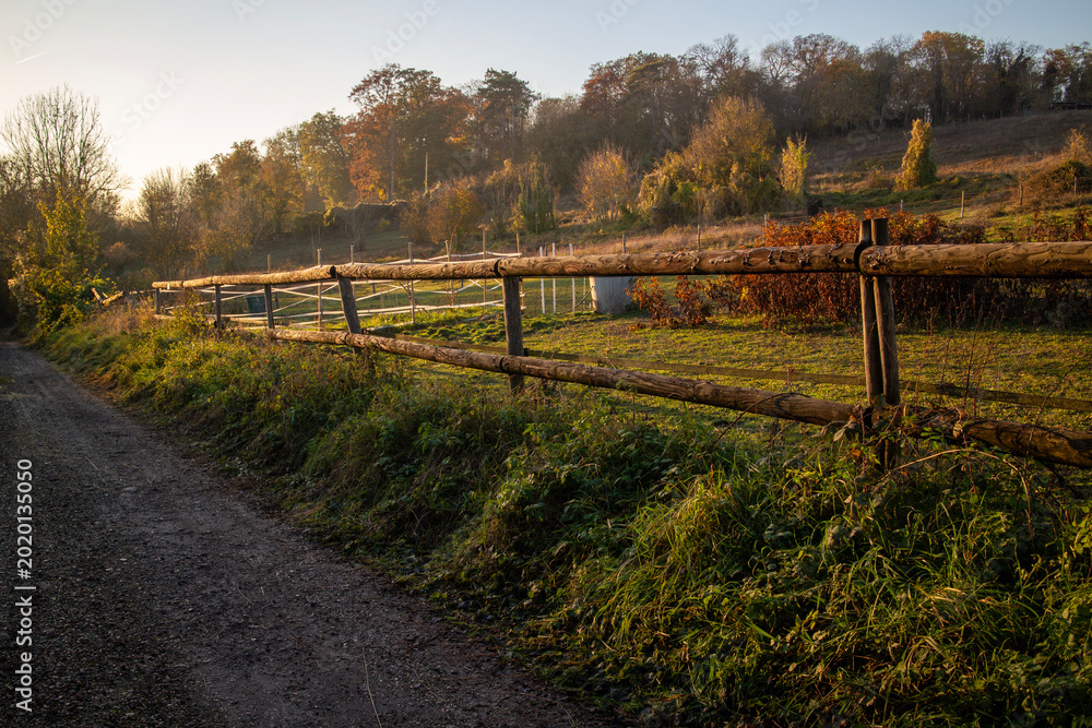 Φωτογραφία Countryside view in Autumn - Grignon - Yvelines - Ile-de-France - France