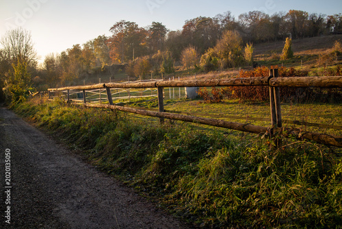Countryside view in Autumn - Grignon - Yvelines - Ile-de-France - France
