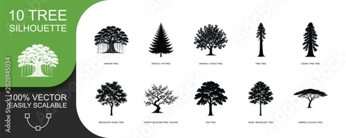 Tablou pe pânză Ten tree silhouette collection featuring tropical and woodland species