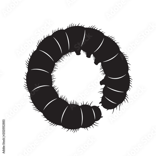 Bilde på lerret Black silhouette of a curled up grub worm on a white background insect illustrat