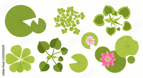 Stylized collection of aquatic plants and flowers, top-down view