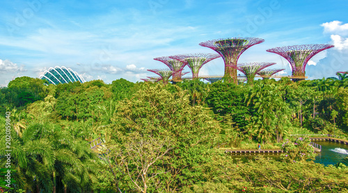 Singapore,2025-10-14 , Gardens by the Bay Supertree Grove and Cloud Forest Domes Over Lush Tropical Park in Singapore
