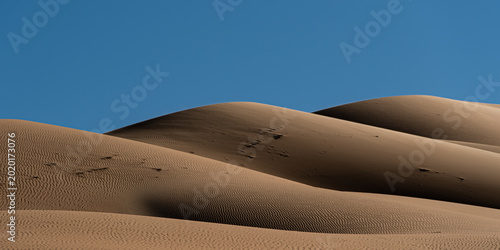 Desert Dunes in Liwa Desert in Abu Dhabi United Arab Emirates