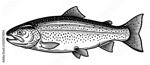 Trout Fish Black and White Outline Line Art Drawing Vintage Style Woodcut Illustration Mascot Icon