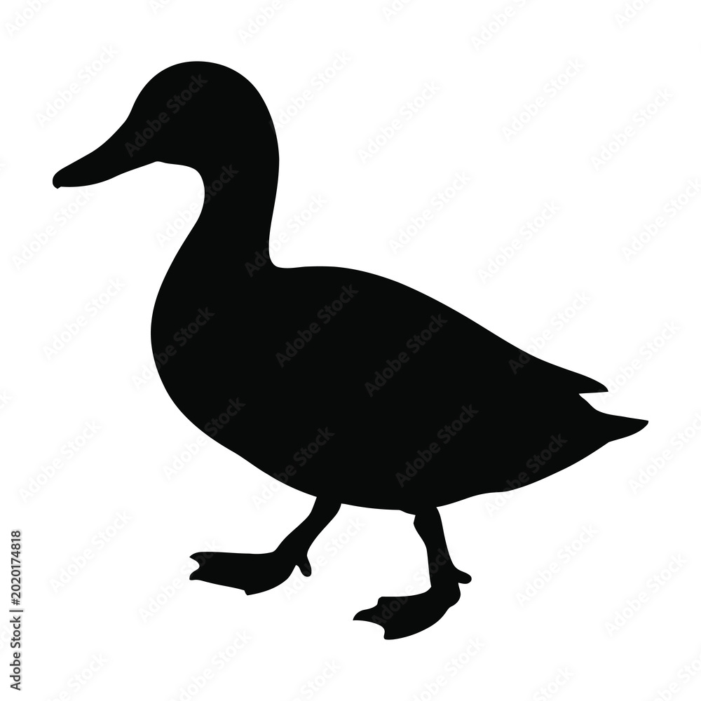 Ταπετσαρία Black silhouette of a standing duck isolated on a clean white background for wil