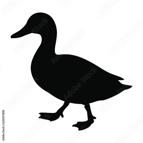 Canvas Print Black silhouette of a standing duck isolated on a clean white background for wil