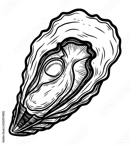 Oyster Seafood Black and White Outline Line Art Drawing Vector Illustration for Menu Design