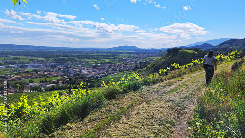 Cuadro en lienzo Colline del Prosecco, panorama