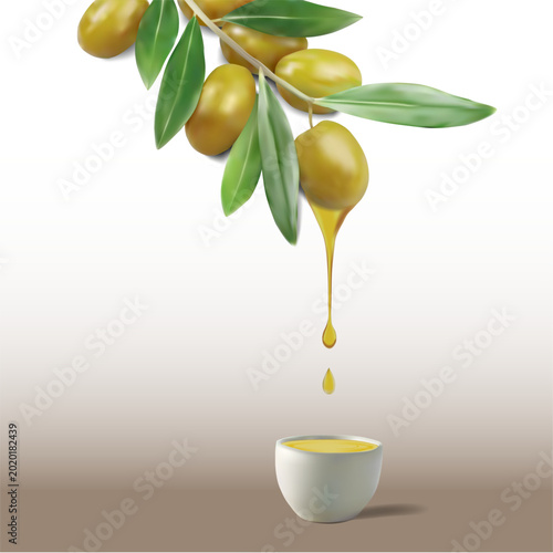 A realistic olive branch with fruit and leaves