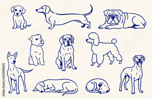 Various dog breeds drawn in simple line art style with clean outlines on a neutral background