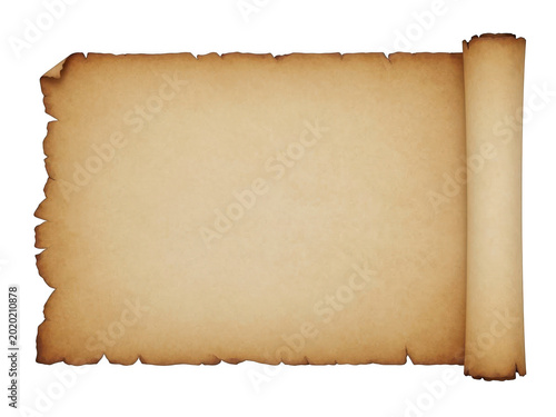 Old vintage scroll of parchment paper with curled edge for historical document isolated on transparent background