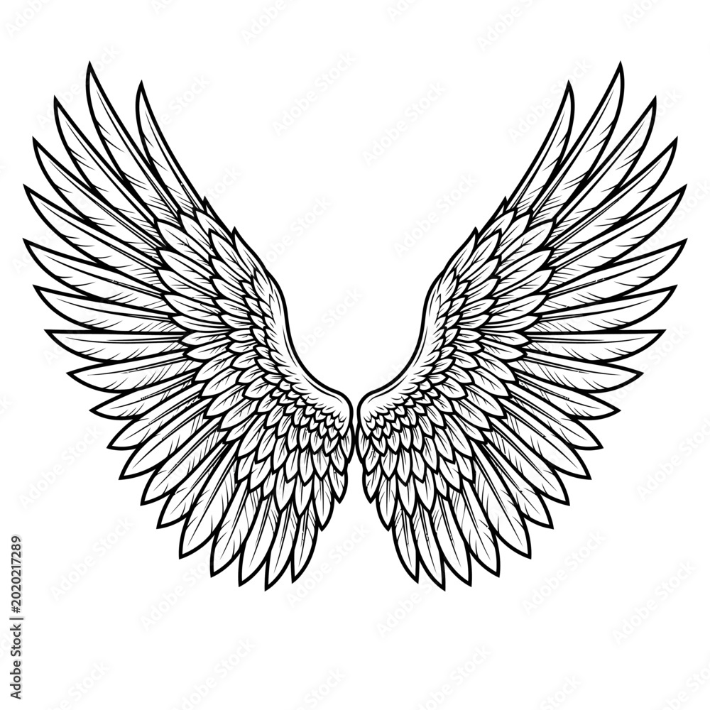 Obraz premium Owl's wings spread wide in flight against the night sky with moonlight