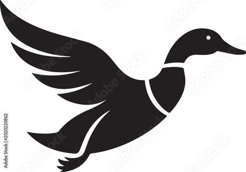 A black duck flies across the sky with wings spread wide outdoors.