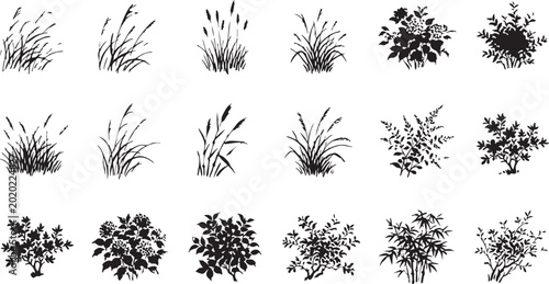 Tableau sur toile Collection of black silhouettes featuring various grass types and small garden b