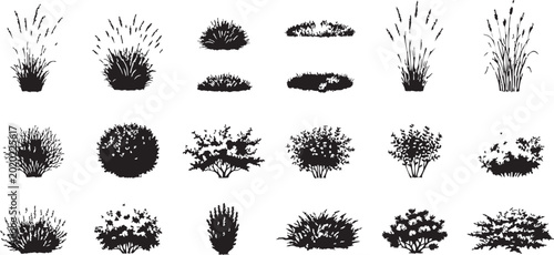 Foto Grass bushes set featuring diverse botanical silhouettes for landscaping archite