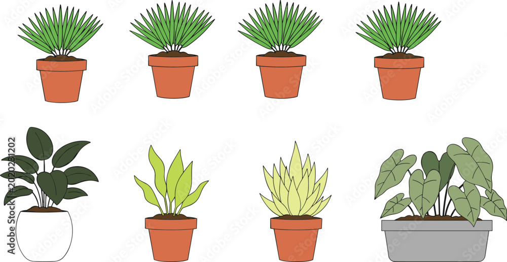 Fototapeta premium Indoor potted plant illustrations with diverse leaf styles and decorative vector design concepts